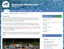 Tablet Screenshot of bebarracudas.org